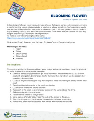 Downloadable activity screenshot of cover for Blooming Flower