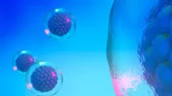 abstrat image of cells